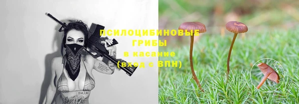 прущая мука Россошь