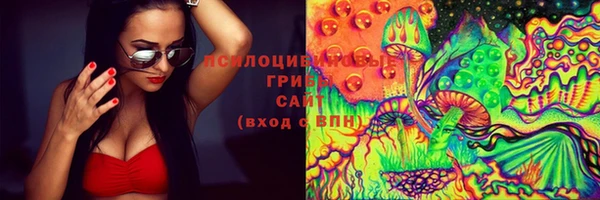 дживик Алзамай