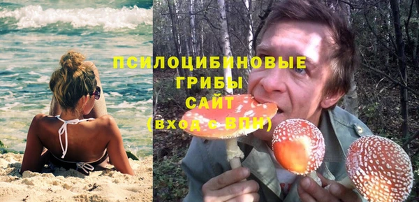 дживик Алзамай